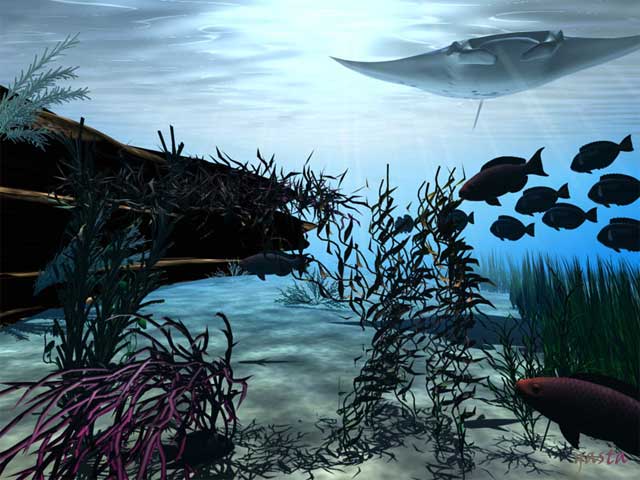 pesce